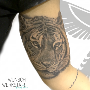 Tiger Tattoo Innenarm Wunschwerkstatt Hana