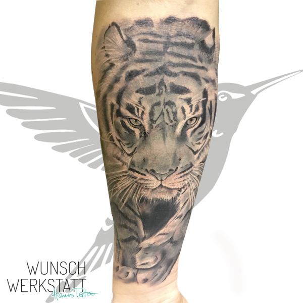 Tigertattoo Unterarm Wunschwerkstatt